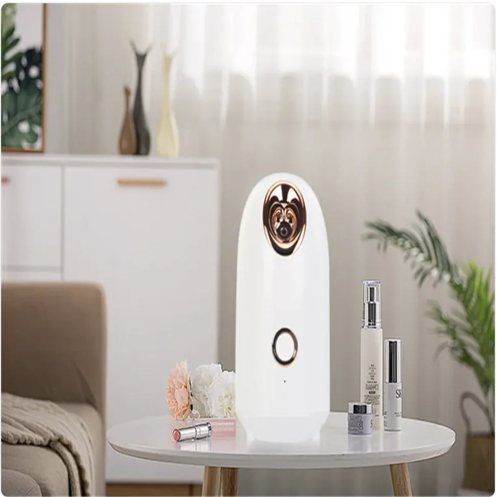 Glow Mist Beauty Steamer